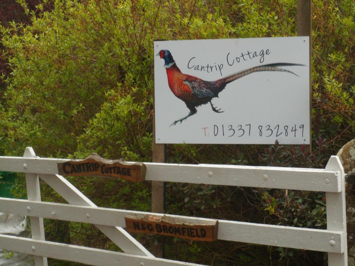 Cantrip Cottage Cupar Exterior foto